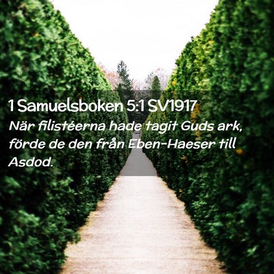 Picture 02 - 1 Samuelsboken 5:1 SV1917 - När filistéerna hade tagit Guds ark, förde de - Bible Verse Picture