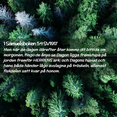Picture 02 - 1 Samuelsboken 5:4 SV1917 - Men när de dagen därefter åter kommo dit - Bible Verse Picture