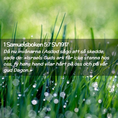 Picture 02 - 1 Samuelsboken 5:7 SV1917 - Då nu invånarna i Asdod sågo att så skedde, - Bible Verse Picture