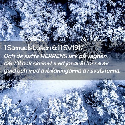 Picture 02 - 1 Samuelsboken 6:11 SV1917 - Och de satte HERRENS ark på vagnen, därtill ock - Bible Verse Picture