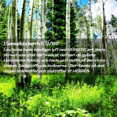 Picture 02 - 1 Samuelsboken 6:15 SV1917 - Leviterna hade nämligen lyft ned HERRENS ark - Bible Verse Picture