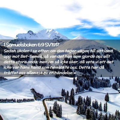 Picture 02 - 1 Samuelsboken 6:9 SV1917 - Sedan skolen I se efter: om den tager vägen till - Bible Verse Picture