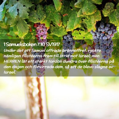 Picture 02 - 1 Samuelsboken 7:10 SV1917 - Under det att Samuel offrade brännoffret, ryckte - Bible Verse Picture
