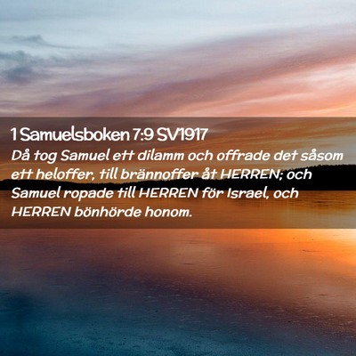 Picture 02 - 1 Samuelsboken 7:9 SV1917 - Då tog Samuel ett dilamm och offrade det såsom - Bible Verse Picture