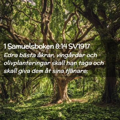 Picture 02 - 1 Samuelsboken 8:14 SV1917 - Edra bästa åkrar, vingårdar och - Bible Verse Picture