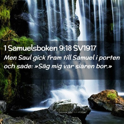 Picture 02 - 1 Samuelsboken 9:18 SV1917 - Men Saul gick fram till Samuel i porten och sade: - Bible Verse Picture
