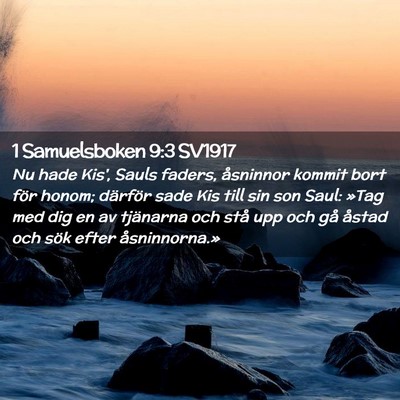Picture 02 - 1 Samuelsboken 9:3 SV1917 - Nu hade Kis', Sauls faders, åsninnor kommit bort - Bible Verse Picture