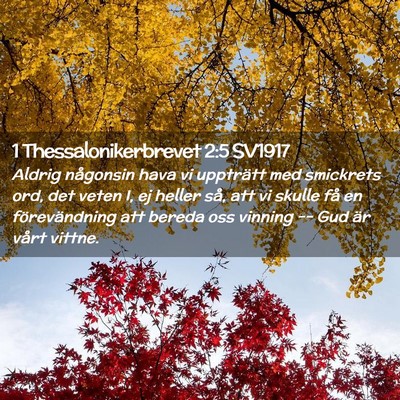 Picture 02 - 1 Thessalonikerbrevet 2:5 SV1917 - Aldrig någonsin hava vi uppträtt med smickrets - Bible Verse Picture
