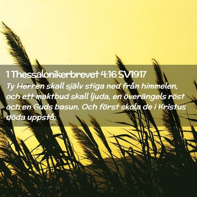 Picture 02 - 1 Thessalonikerbrevet 4:16 SV1917 - Ty Herren skall själv stiga ned från himmelen, - Bible Verse Picture