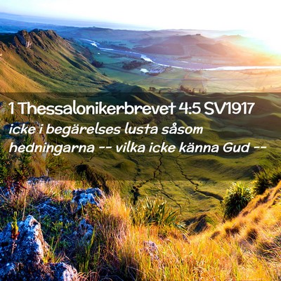 Picture 02 - 1 Thessalonikerbrevet 4:5 SV1917 - icke i begärelses lusta såsom hedningarna -- - Bible Verse Picture