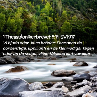 Picture 02 - 1 Thessalonikerbrevet 5:14 SV1917 - Vi bjuda eder, käre bröder: Förmanen de - Bible Verse Picture