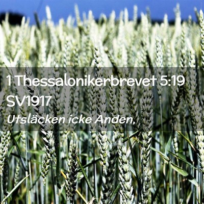 Picture 02 - 1 Thessalonikerbrevet 5:19 SV1917 - Utsläcken icke - Bible Verse Picture