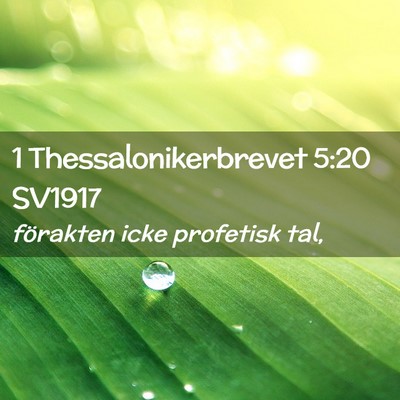Picture 02 - 1 Thessalonikerbrevet 5:20 SV1917 - förakten icke profetisk - Bible Verse Picture
