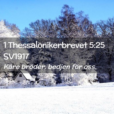 Picture 02 - 1 Thessalonikerbrevet 5:25 SV1917 - Käre bröder, bedjen för - Bible Verse Picture