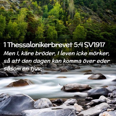 Picture 02 - 1 Thessalonikerbrevet 5:4 SV1917 - Men I, käre bröder, I leven icke mörker, så - Bible Verse Picture