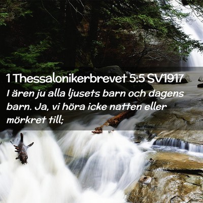 Picture 02 - 1 Thessalonikerbrevet 5:5 SV1917 - I ären ju alla ljusets barn och dagens barn. Ja, - Bible Verse Picture