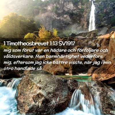 Picture 02 - 1 Timotheosbrevet 1:13 SV1917 - mig som förut var en hädare och förföljare - Bible Verse Picture