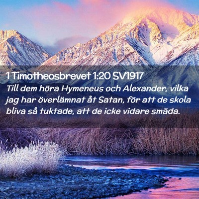 Picture 02 - 1 Timotheosbrevet 1:20 SV1917 - Till dem höra Hymeneus och Alexander, vilka jag - Bible Verse Picture