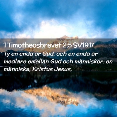 Picture 02 - 1 Timotheosbrevet 2:5 SV1917 - Ty en enda är Gud, och en enda är medlare - Bible Verse Picture