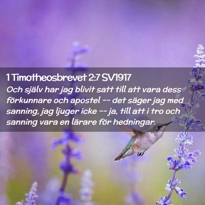 Picture 02 - 1 Timotheosbrevet 2:7 SV1917 - Och själv har jag blivit satt till att vara dess - Bible Verse Picture
