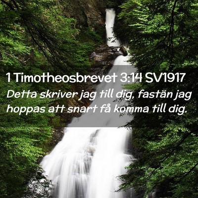 Picture 02 - 1 Timotheosbrevet 3:14 SV1917 - Detta skriver jag till dig, fastän jag hoppas - Bible Verse Picture