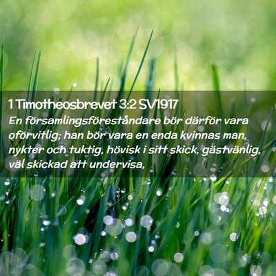 Picture 02 - 1 Timotheosbrevet 3:2 SV1917 - En församlingsföreståndare bör därför vara - Bible Verse Picture