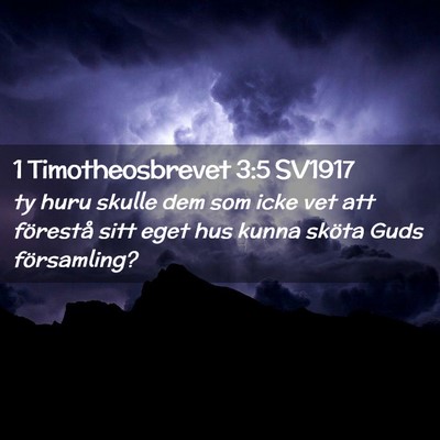 Picture 02 - 1 Timotheosbrevet 3:5 SV1917 - ty huru skulle dem som icke vet att förestå - Bible Verse Picture