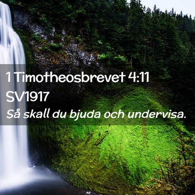 Picture 02 - 1 Timotheosbrevet 4:11 SV1917 - Så skall du bjuda och - Bible Verse Picture