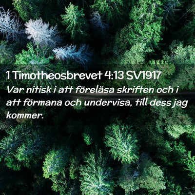 Picture 02 - 1 Timotheosbrevet 4:13 SV1917 - Var nitisk i att föreläsa skriften och i att - Bible Verse Picture