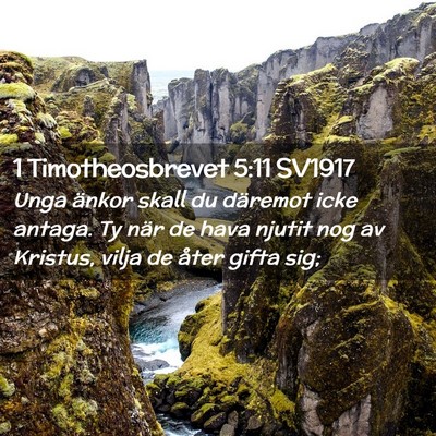 Picture 02 - 1 Timotheosbrevet 5:11 SV1917 - Unga änkor skall du däremot icke antaga. Ty - Bible Verse Picture