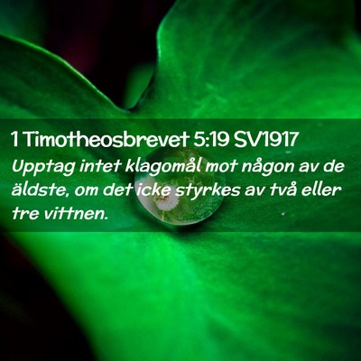 Picture 02 - 1 Timotheosbrevet 5:19 SV1917 - Upptag intet klagomål mot någon av de äldste, - Bible Verse Picture