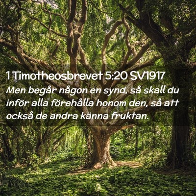 Picture 02 - 1 Timotheosbrevet 5:20 SV1917 - Men begår någon en synd, så skall du inför - Bible Verse Picture