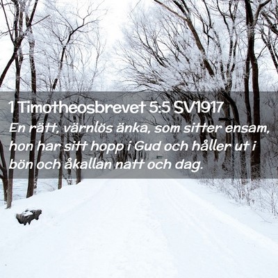 Picture 02 - 1 Timotheosbrevet 5:5 SV1917 - En rätt, värnlös änka, som sitter ensam, hon - Bible Verse Picture