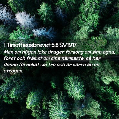 Picture 02 - 1 Timotheosbrevet 5:8 SV1917 - Men om någon icke drager försorg om sina egna, - Bible Verse Picture