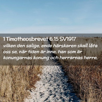 Picture 02 - 1 Timotheosbrevet 6:15 SV1917 - vilken den salige, ende härskaren skall låta - Bible Verse Picture