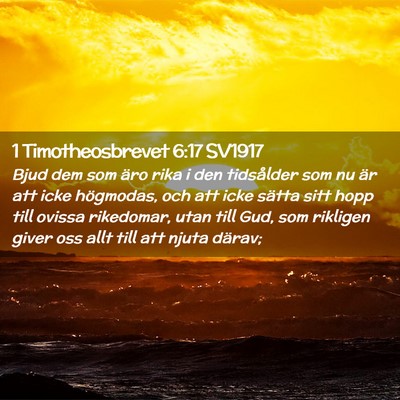 Picture 02 - 1 Timotheosbrevet 6:17 SV1917 - Bjud dem som äro rika i den tidsålder som nu - Bible Verse Picture