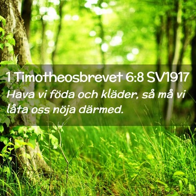Picture 02 - 1 Timotheosbrevet 6:8 SV1917 - Hava vi föda och kläder, så må vi låta oss - Bible Verse Picture