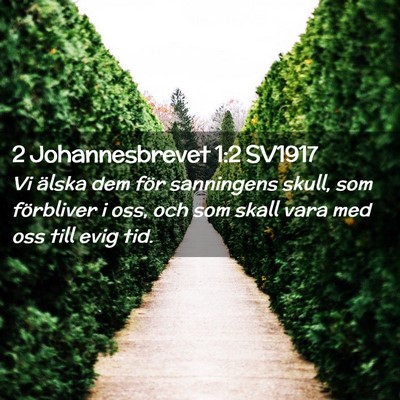 Picture 02 - 2 Johannesbrevet 1:2 SV1917 - Vi älska dem för sanningens skull, som - Bible Verse Picture