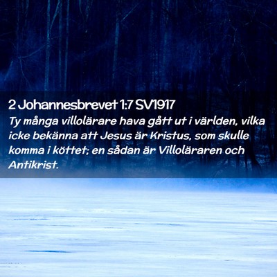 Picture 02 - 2 Johannesbrevet 1:7 SV1917 - Ty många villolärare hava gått ut i världen, - Bible Verse Picture