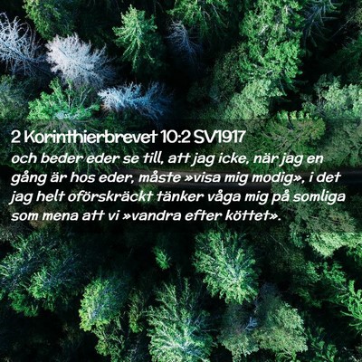 Picture 02 - 2 Korinthierbrevet 10:2 SV1917 - och beder eder se till, att jag icke, när jag en - Bible Verse Picture