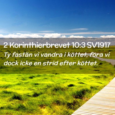 Picture 02 - 2 Korinthierbrevet 10:3 SV1917 - Ty fastän vi vandra i köttet, föra vi dock - Bible Verse Picture
