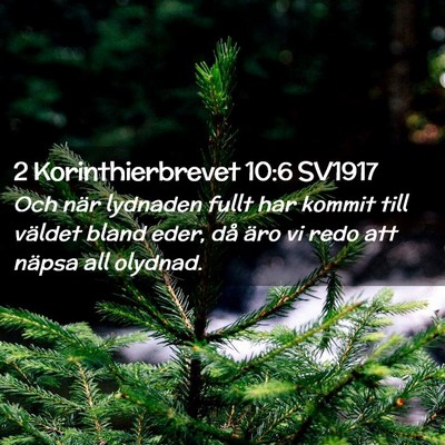 Picture 02 - 2 Korinthierbrevet 10:6 SV1917 - Och när lydnaden fullt har kommit till väldet - Bible Verse Picture