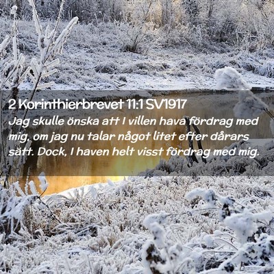 Picture 02 - 2 Korinthierbrevet 11:1 SV1917 - Jag skulle önska att I villen hava fördrag med - Bible Verse Picture