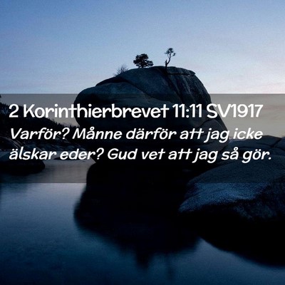 Picture 02 - 2 Korinthierbrevet 11:11 SV1917 - Varför? Månne därför att jag icke älskar - Bible Verse Picture