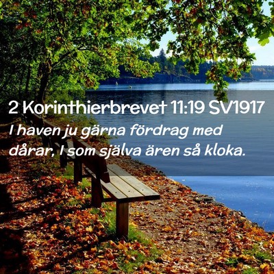 Picture 02 - 2 Korinthierbrevet 11:19 SV1917 - I haven ju gärna fördrag med dårar, I som - Bible Verse Picture