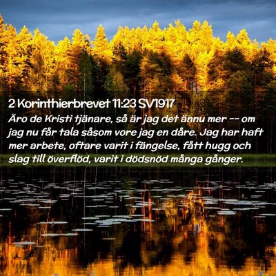 Picture 02 - 2 Korinthierbrevet 11:23 SV1917 - Äro de Kristi tjänare, så är jag det ännu - Bible Verse Picture