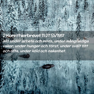 Picture 02 - 2 Korinthierbrevet 11:27 SV1917 - allt under arbete och möda, under mångfaldiga - Bible Verse Picture