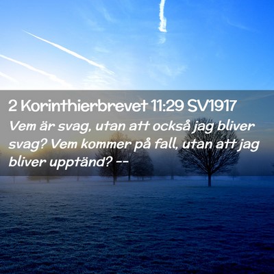 Picture 02 - 2 Korinthierbrevet 11:29 SV1917 - Vem är svag, utan att också jag bliver svag? - Bible Verse Picture