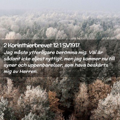 Picture 02 - 2 Korinthierbrevet 12:1 SV1917 - Jag måste ytterligare berömma mig. Väl är - Bible Verse Picture
