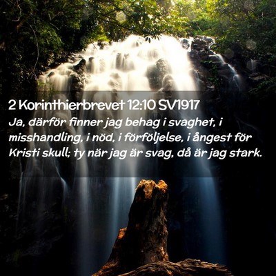 Picture 02 - 2 Korinthierbrevet 12:10 SV1917 - Ja, därför finner jag behag i svaghet, i - Bible Verse Picture